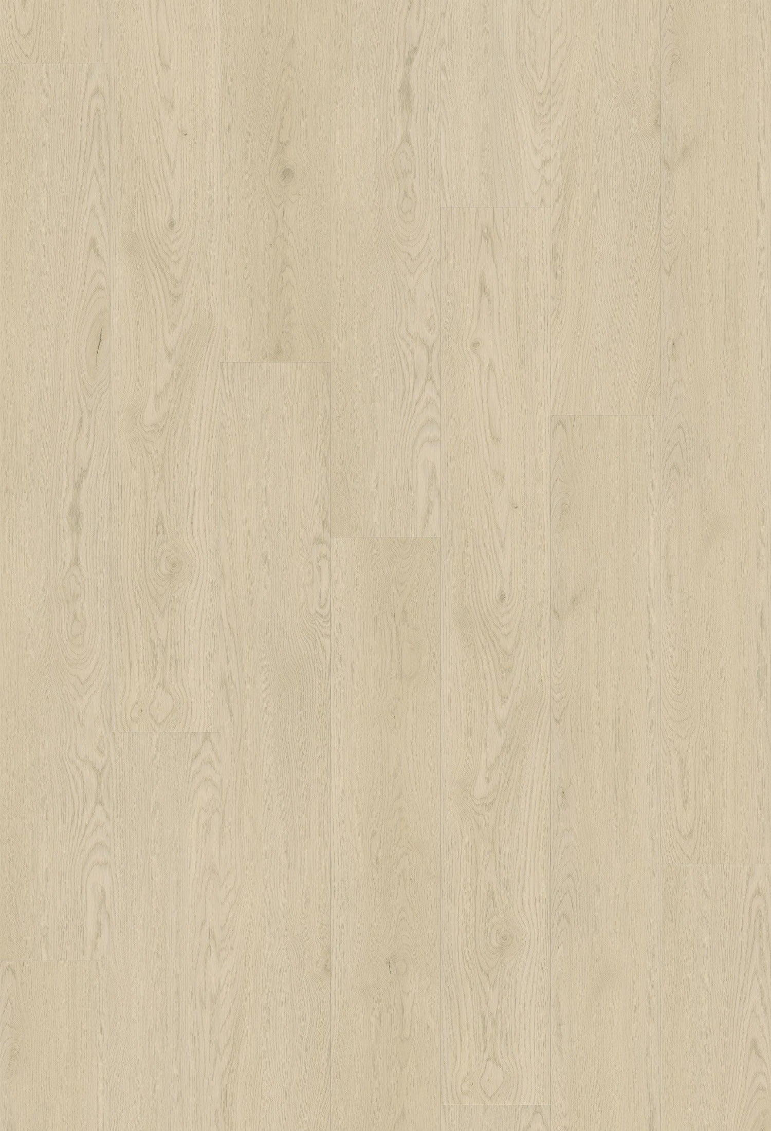 Kingswood 1.5